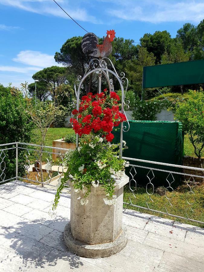 Apartments Lori Poreč Zewnętrze zdjęcie