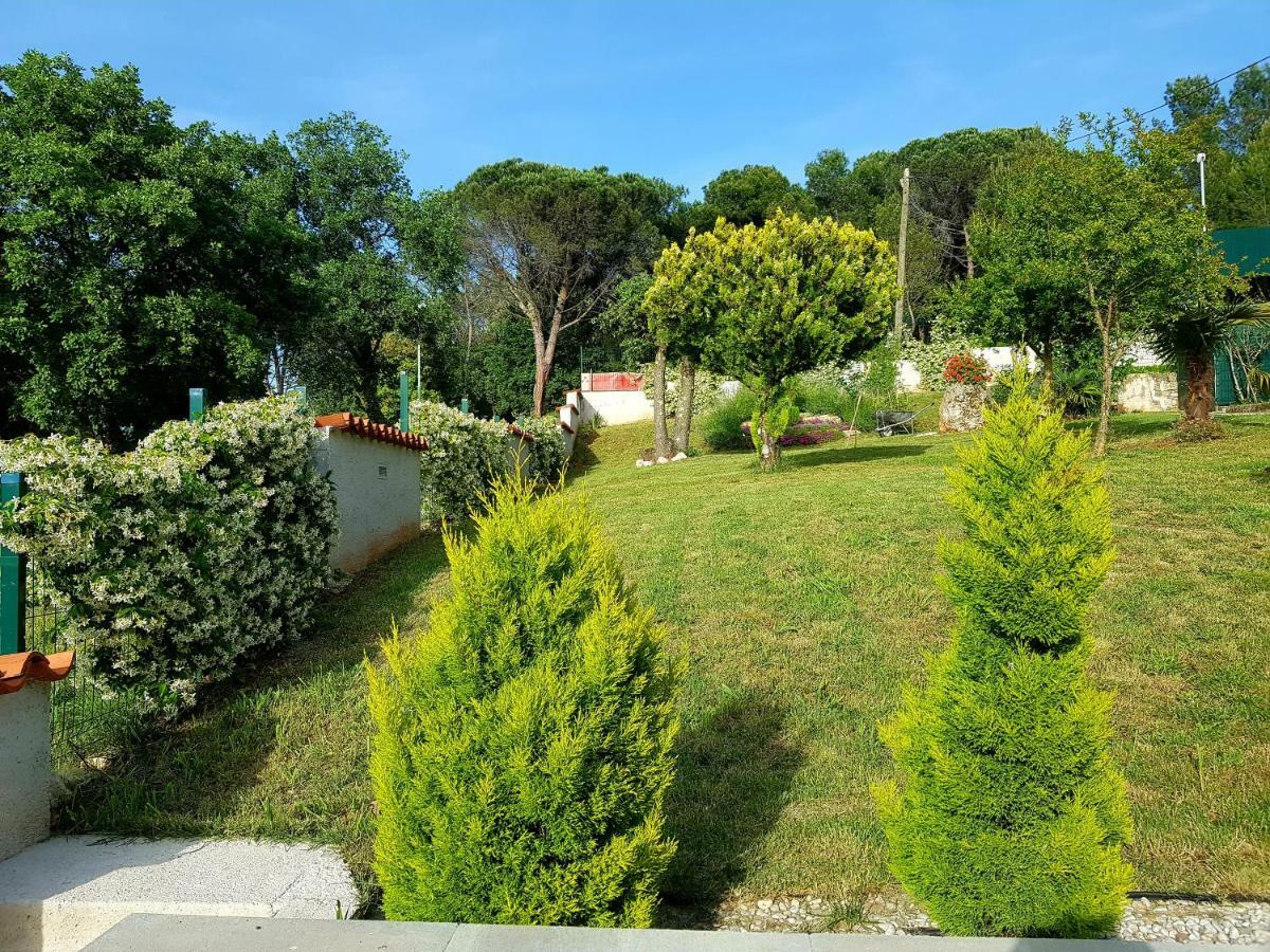 Apartments Lori Poreč Zewnętrze zdjęcie