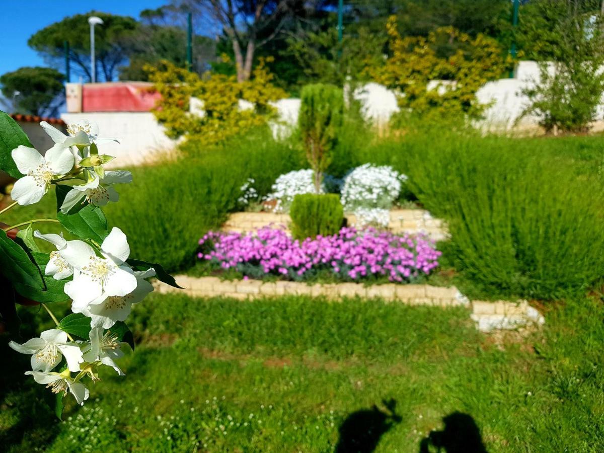 Apartments Lori Poreč Zewnętrze zdjęcie